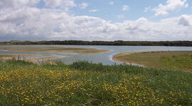 Le parc ornithologique du Marquenterre, 2009