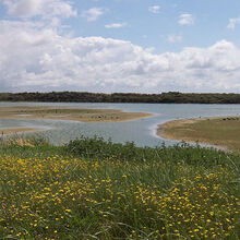 Le parc ornithologique du Marquenterre, 2009