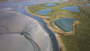 Baie et basse-vallée de la Somme