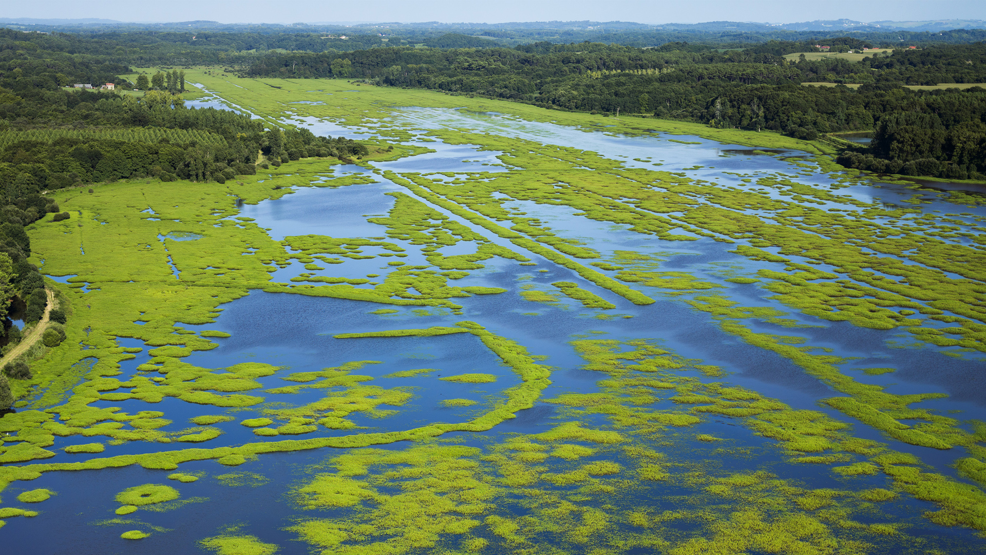 SUD LANDES ET RIVES DE L'ADOUR