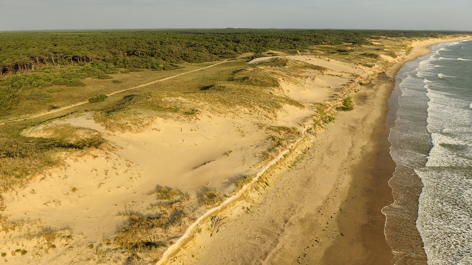 DUNES ET ETANGS DE GIRONDE