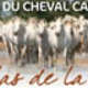 Maison du Cheval Camargue 