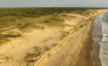 DUNES ET ETANGS DE GIRONDE