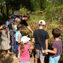 "Les mains dans la terre", une nouvelle activité familles au Domaine du Rayol