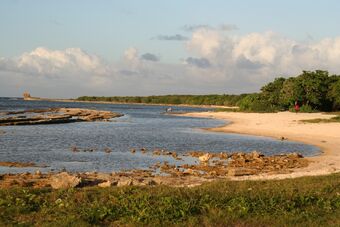 COURONNE CONCHOU - ANSE SALMON