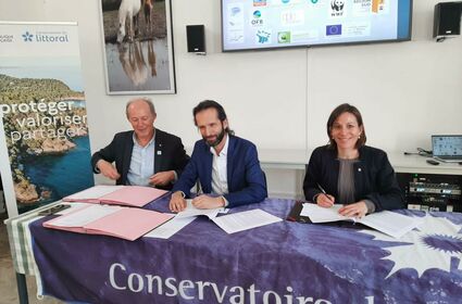 L’Agence de l’eau Rhône Méditerranée Corse et le Conservatoire du littoral renouvellent leur partenariat pour la protection des zones humides littorales