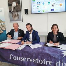 L’Agence de l’eau Rhône Méditerranée Corse et le Conservatoire du littoral renouvellent leur partenariat pour la protection des zones humides littorales