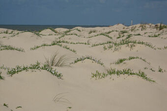 DUNE ET POINTE DE GRAVE