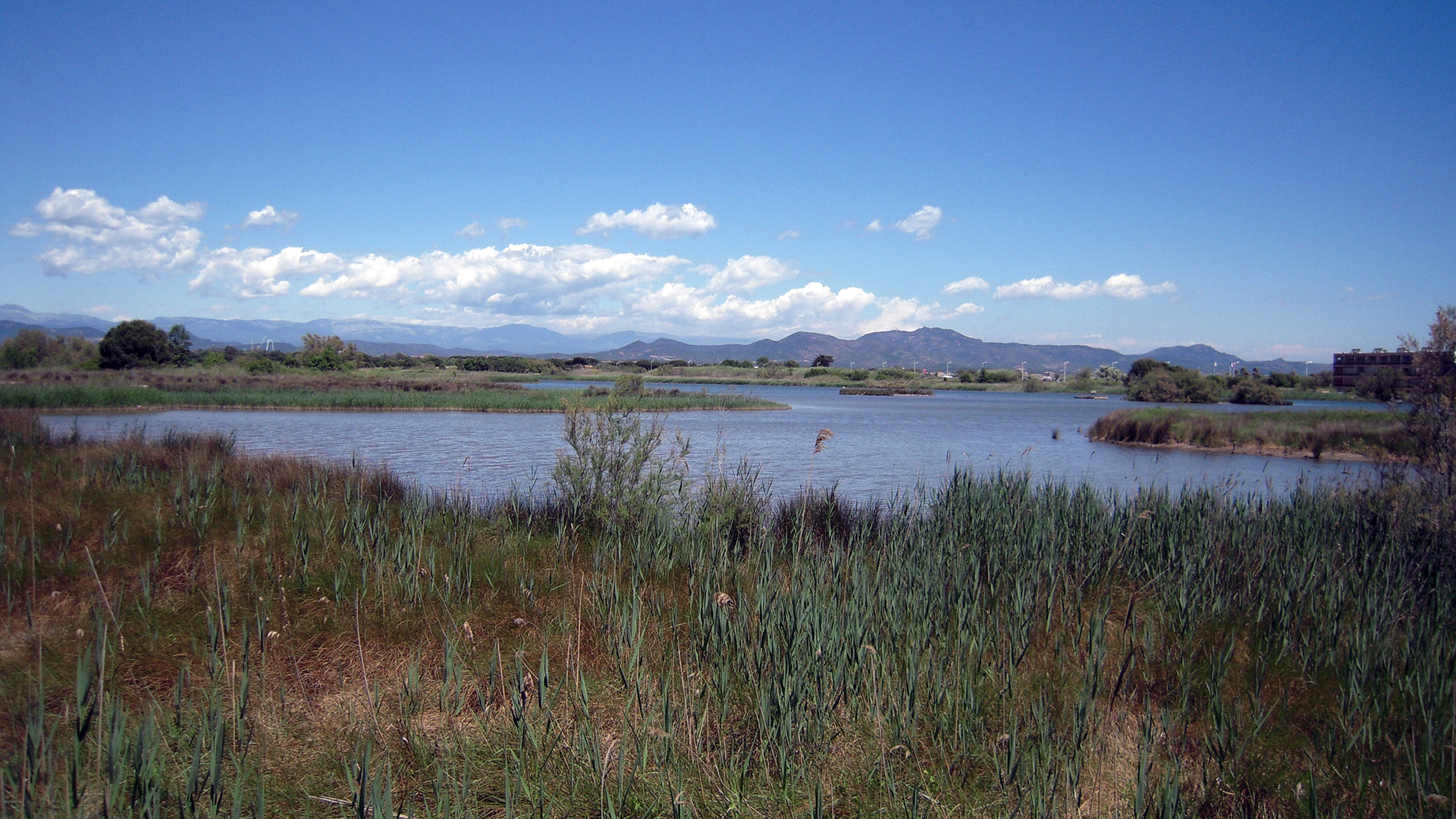 BASSE VALLEE DE L'ARGENS