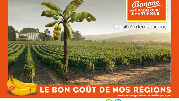 Campagne de l'Union des groupements de producteurs de bananes de Guadeloupe et Martinique (UGP Ban)  