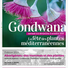 Gondwana, la fête des plantes méditerranéennes au Domaine du Rayol, Var