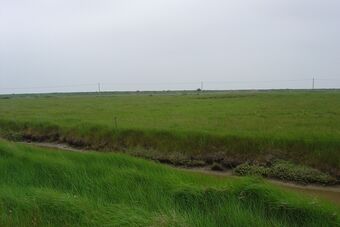 MARAIS BRETON - BOUIN