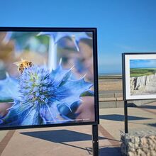 Une promenade photographique sur la digue de Wimereux