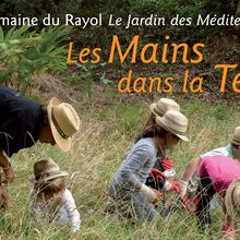 Activité familles « Les mains dans la terre » au Domaine du Rayol
