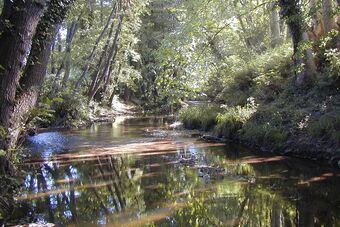 VALLEE DE LA MOLE