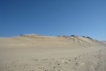 DUNE DE VENSAC