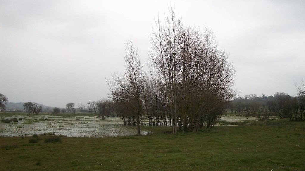 Marais de Villers Blonville