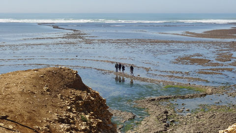 De la pointe de Chassiron à celle de Gatseau, à l’ouest, une côte « sauvage » face à l’océan