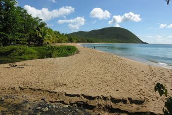 GROS MORNE - GRANDE ANSE