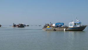 La Baie de l’Aiguillon et l’estuaire de la Sèvre-Niortaise