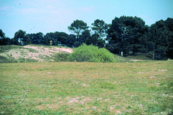 ANSE ET MARAIS DE PONT MAHE