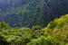 La Réunion -Forêt sèche devant rampart