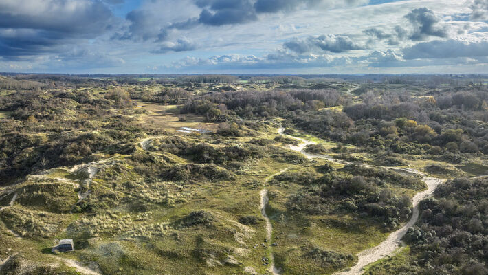 dune_perroquet