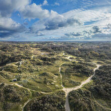 dune_perroquet