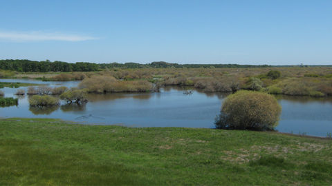 Les rives du lac, des roselières, des boisements, des marais, et des prairies pâturées ou fauchées