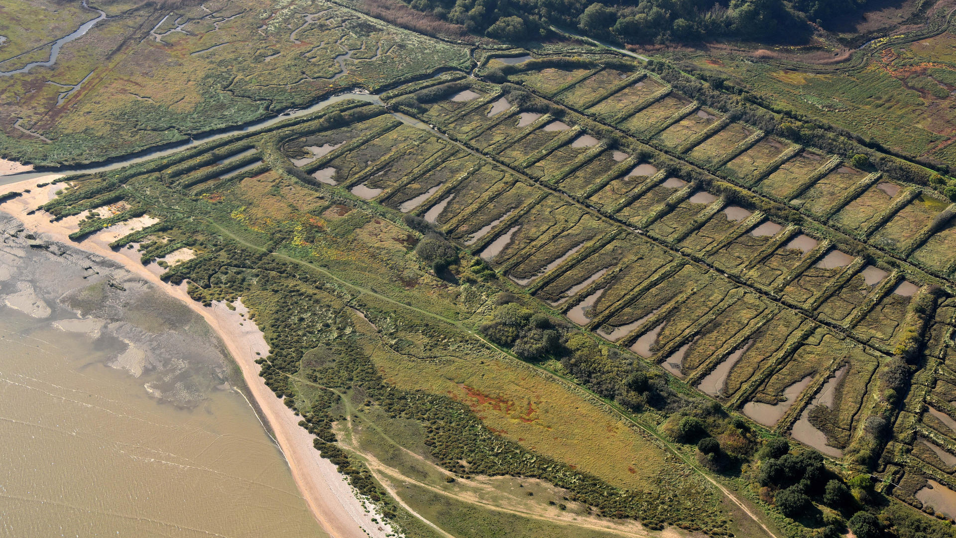 ESTUAIRE ET MARAIS DE VILAINE