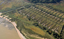 ESTUAIRE ET MARAIS DE VILAINE