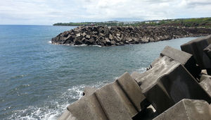 Littoral périurbain et falaises de Sainte-Marie à Sainte-Suzanne