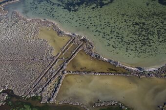 ETANG DE LA PALME