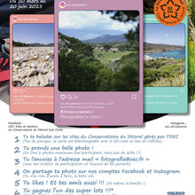 concours fotografia corse 50e