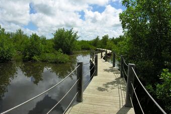 MARAIS DE PORT LOUIS