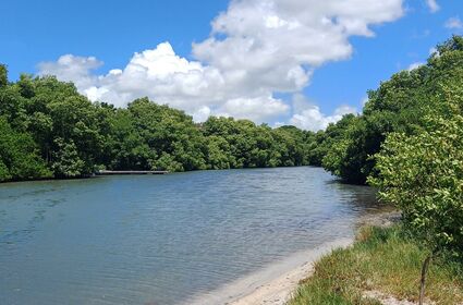 900 hectares d’espaces naturels sensibles supplémentaires protégés  par le Conservatoire du littoral en Guadeloupe
