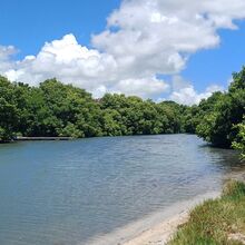 900 hectares d’espaces naturels sensibles supplémentaires protégés  par le Conservatoire du littoral en Guadeloupe