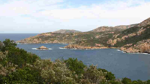 La côte sauvage du Luzzipeu, de la baie de Nichiareto à la Punta di Ciuttone