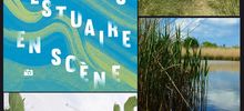 Rendez-vous nature en estuaire de Seine 2014