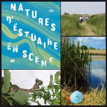 Rendez-vous nature en estuaire de Seine 2014