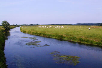 BAIE ET BASSE VALLEE DE LA SOMME