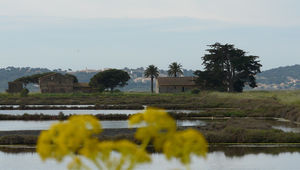 La Presqu'île de Giens : des plages et des salins