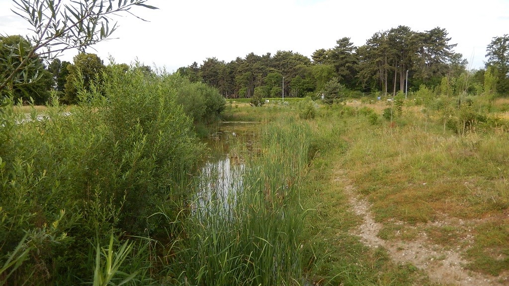 Parc des Dranse