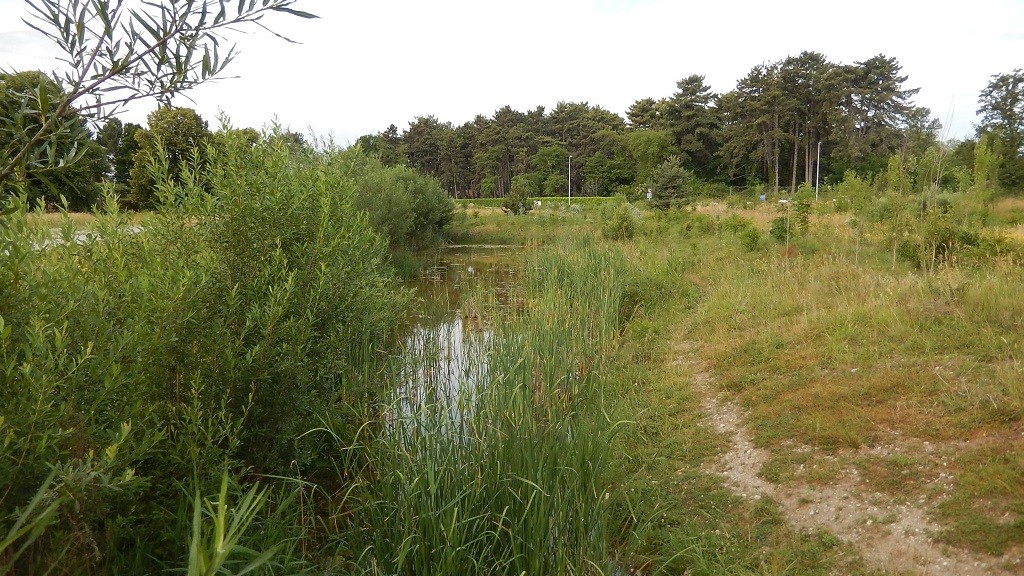 Parc des Dranse