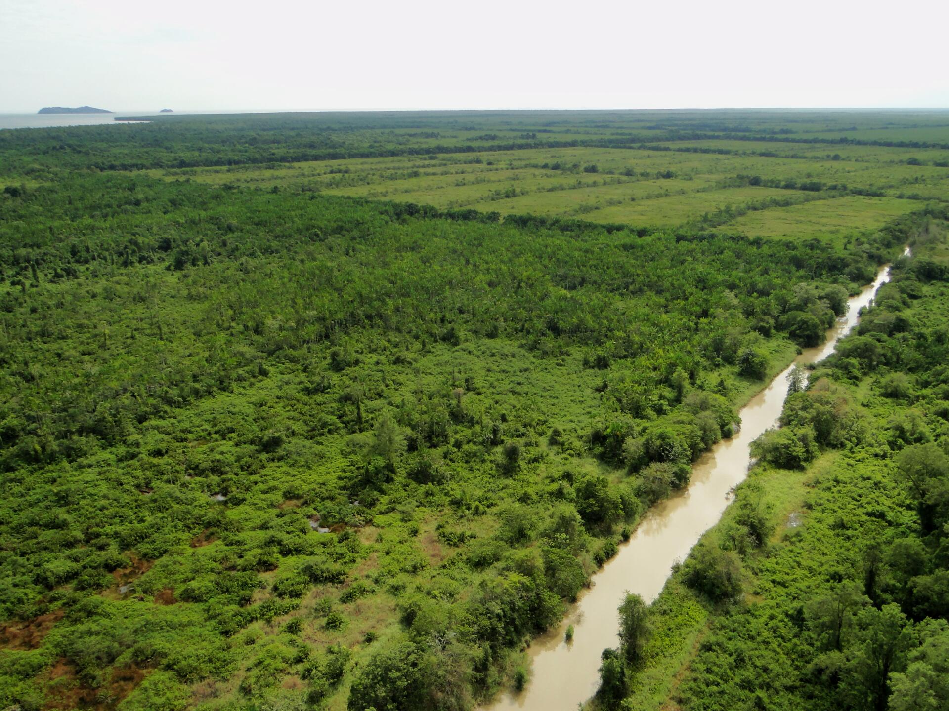 PRESQU'ILE DE CAYENNE - GUYANE