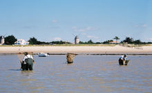 ILE DE NOIRMOUTIER