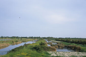 MARAIS DU DOUHET