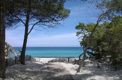 Inauguration des travaux d'aménagement pour l'accès à la plage de Saleccia, Corse