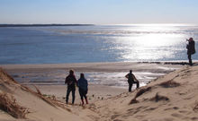 La Baie d’Authie, le paysage pour penser autrement l’évolution du trait de côte.