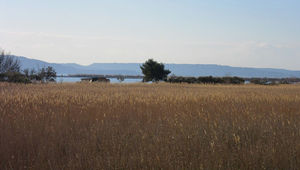 L’étang des espaces naturels et lagunaires 